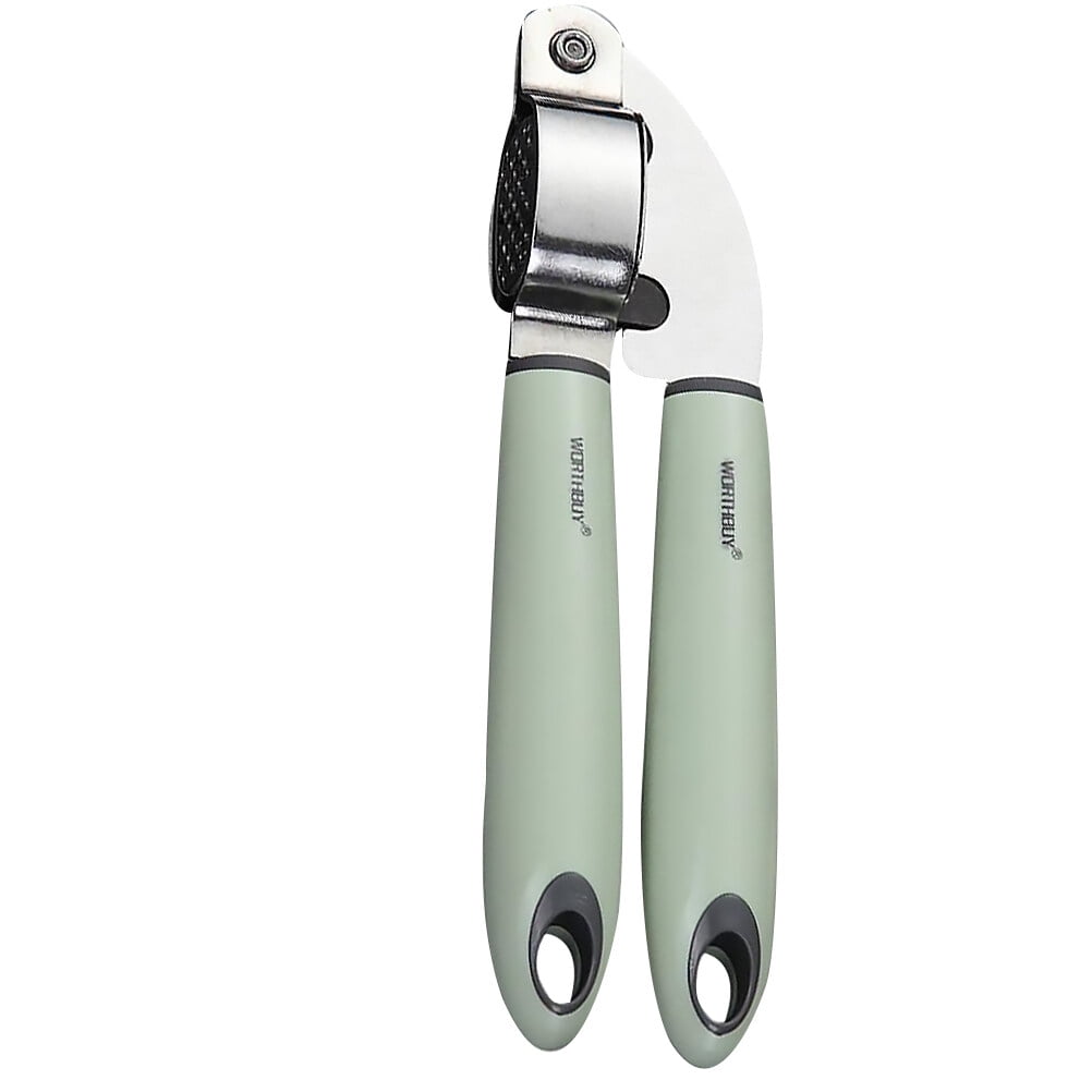 FRCOLOR Stainless Steel Garlic Presser Practical Garlic Mincer Garlic