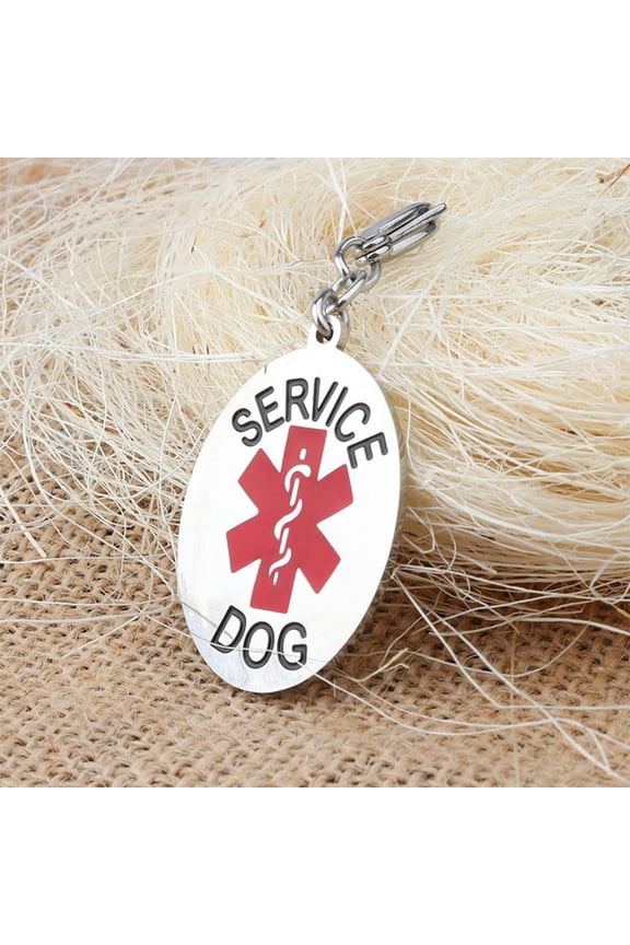 Stainless Steel Keychain Silver Oval for Men and Women present 1Pcs