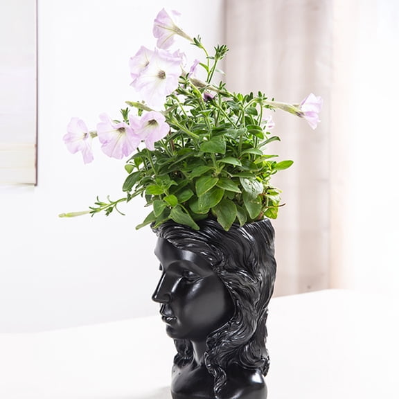 FRCOLOR Succulent Flower Pot Indoor Plant Container Planters Miss Black