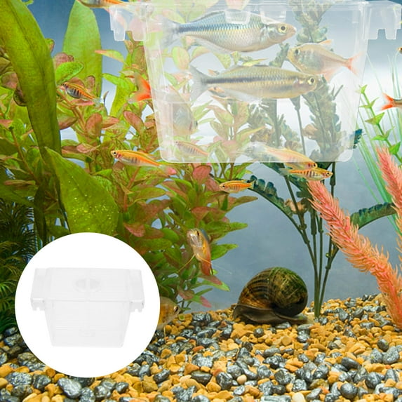 FRCOLOR Transparent Acrylic Fish Breeding Box for Baby Betta Isolation Hatchery 7.87"x3.94"x3.54"