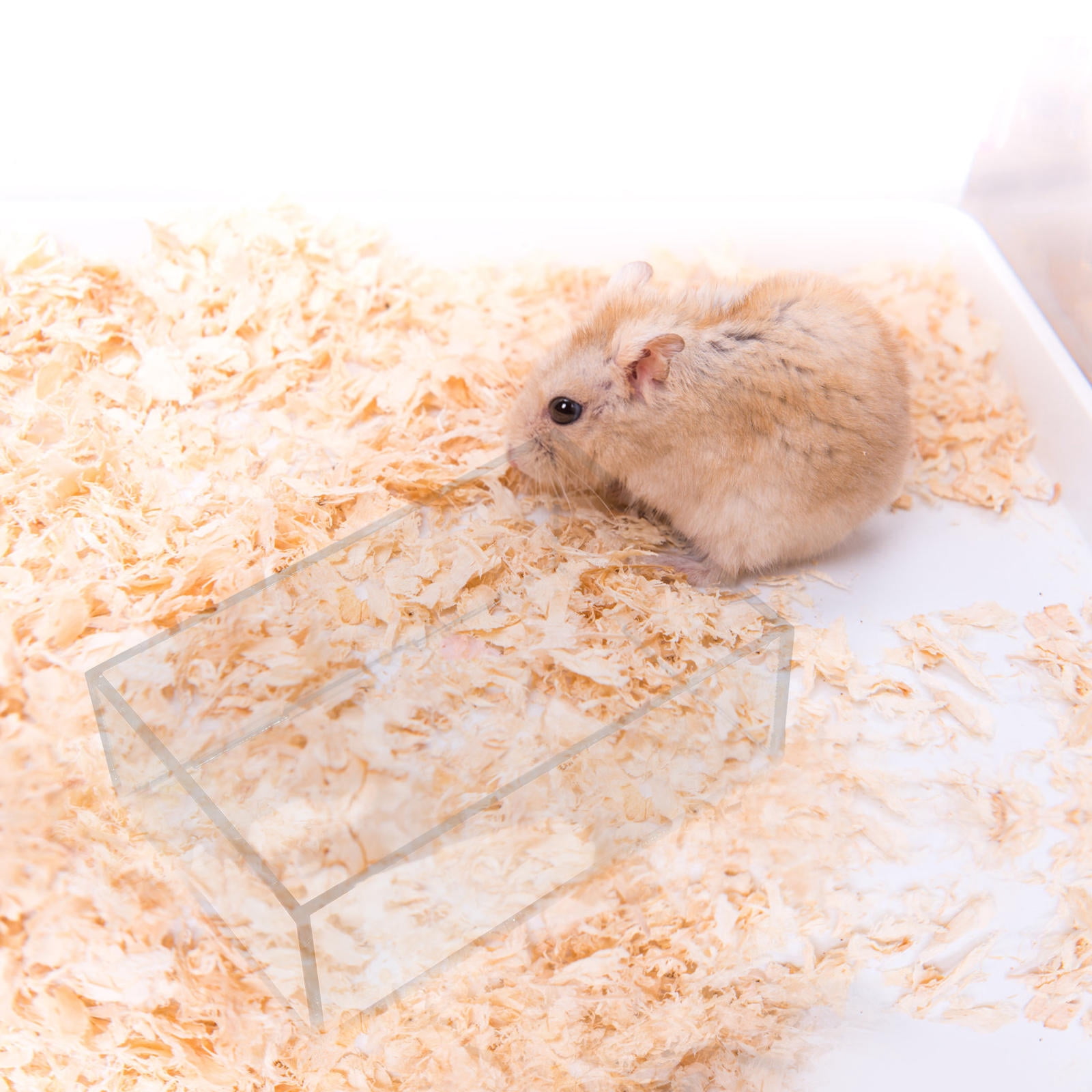 Curated visual reference: Compact Hamster Accessories For Small Areas Reference: Frcolor Transparent Acrylic Hamster Sand Bath Box For Small Pets