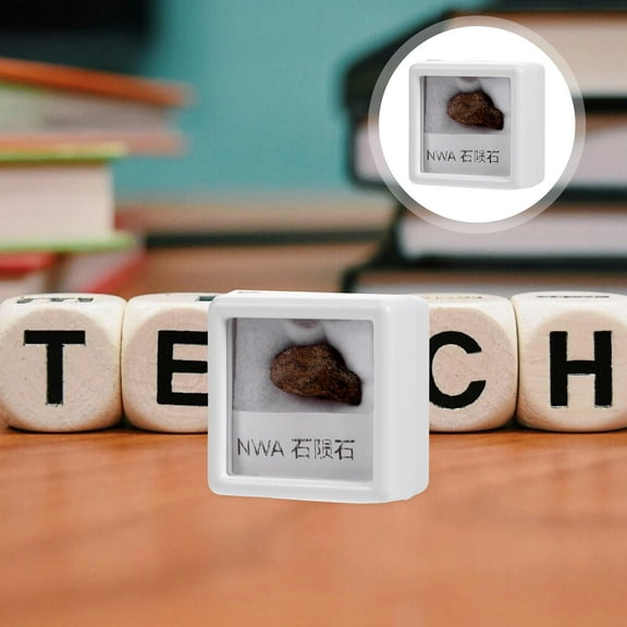 FRCOLOR Unique Stone Meteorite Specimen for Collection and Teaching Irregular Shape Decorative Item