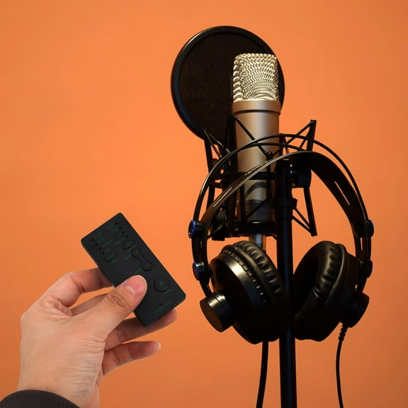 FRCOLOR Voice Changer Handheld Microphone Voice Changer Disguiser Portable Mini Voice Changer Device Sound Effects Machine For Gaming Recording Live Streaming