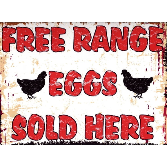 FREE RANGE EGGS SOLD HERE METAL SIGN pub bar shop cafe funny Size: 16 x 12 Inch
