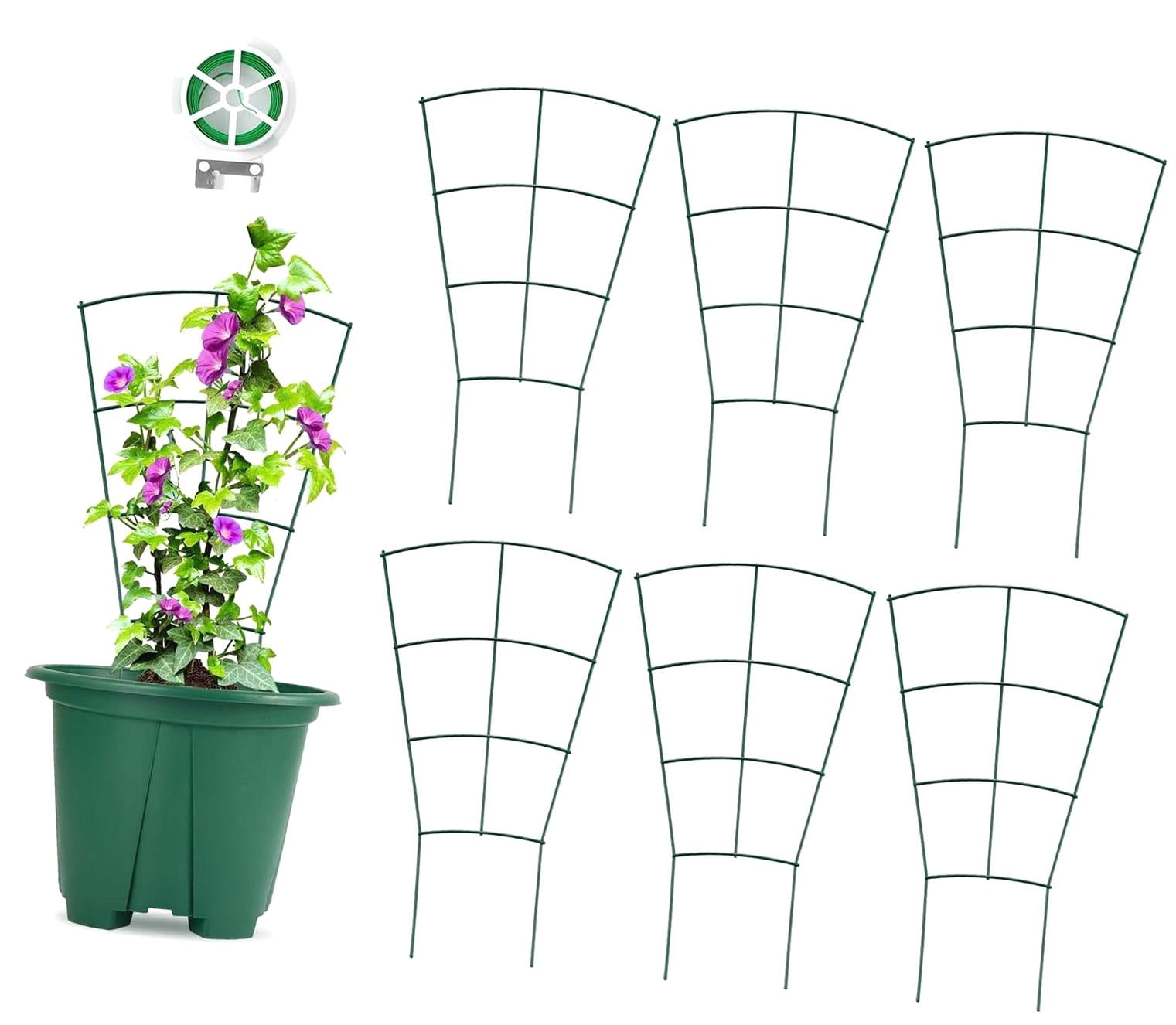 FREEAMG 6-Pack Indoor Plant Support - 16 Inches, Metal Framework for ...