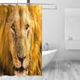 thumbnail image 1 of FREEAMG Africa Lion Shower Curtain, 72 x 72 Waterproof Polyester Fabric Shower Curtain Liner with Hooks for Bathroom Hotel, 1 of 4