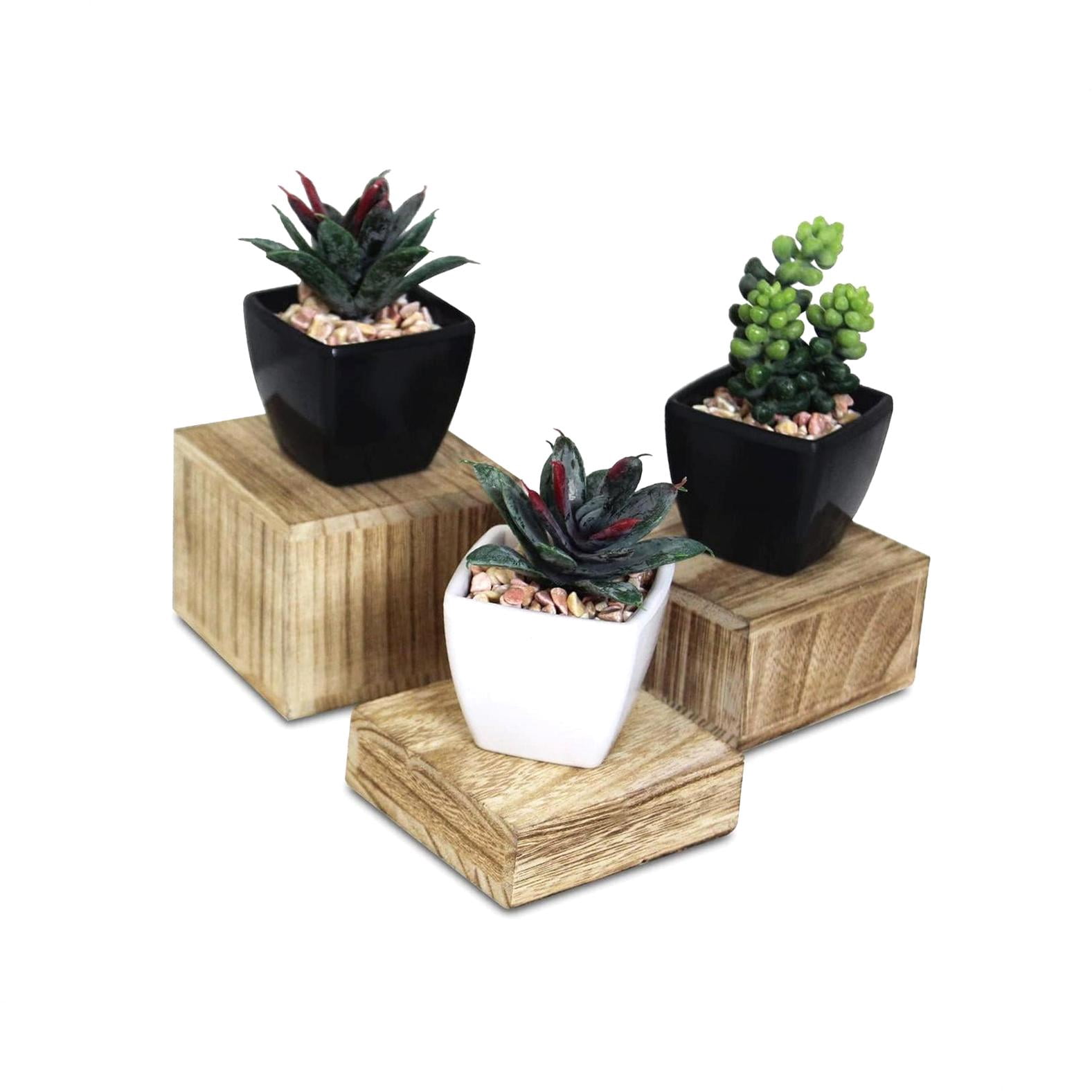 FREEAMG Customizable Wooden Display Risers - Set of 3 Stands in ...
