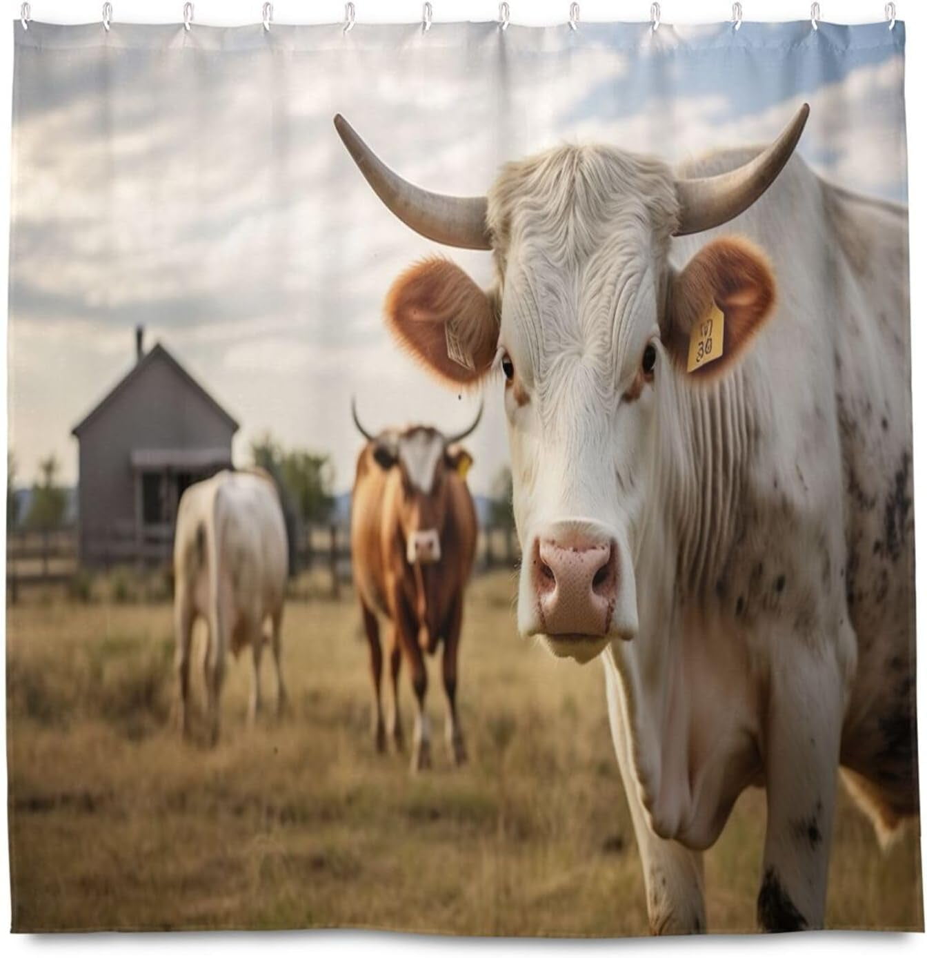 FREEAMG Farm Cow Pattern Shower Curtain - 72x72 Inch Waterproof Fabric ...