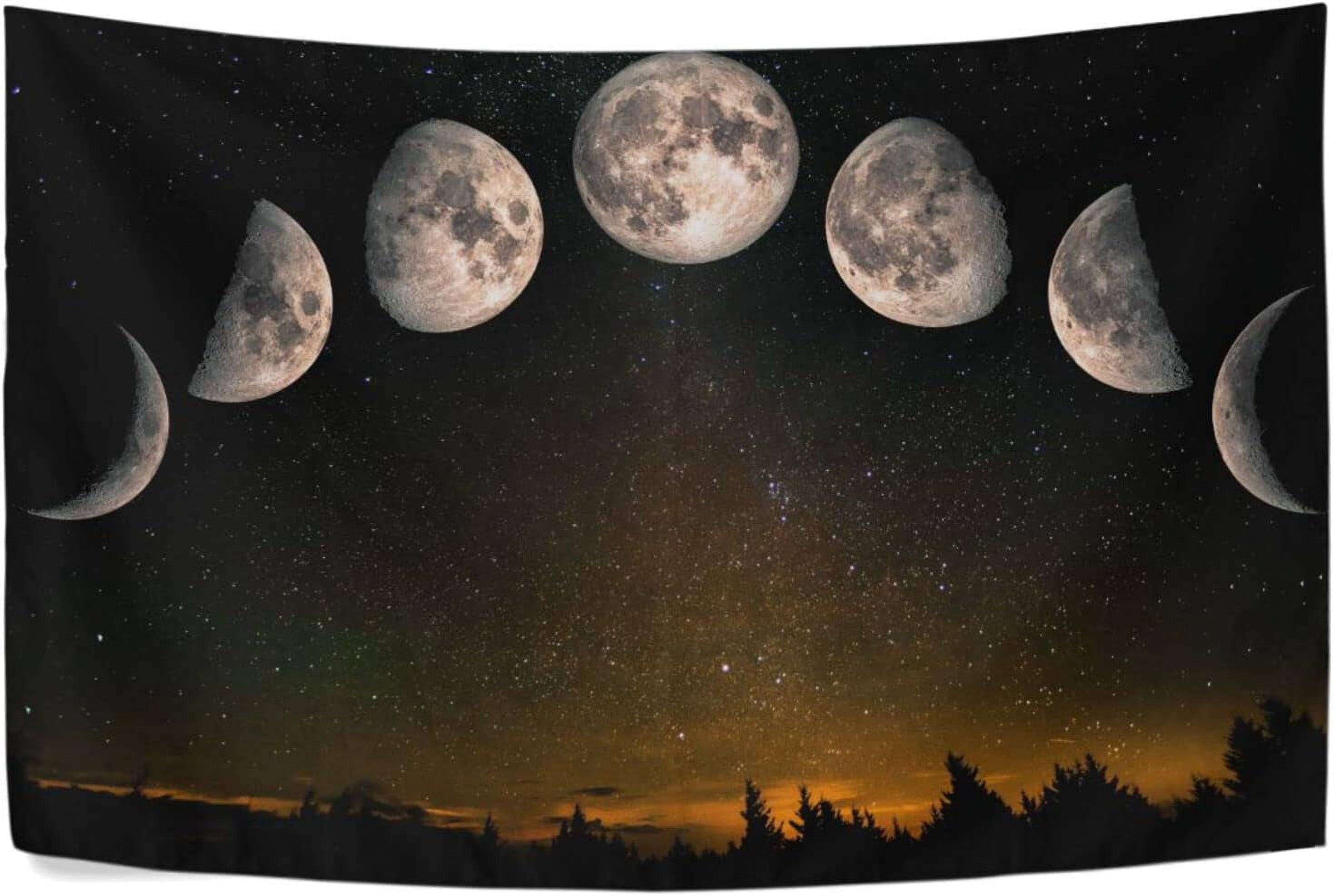 FREEAMG Forest Moon Phases Tapestries Wall Hanging Bedding Tapestry ...