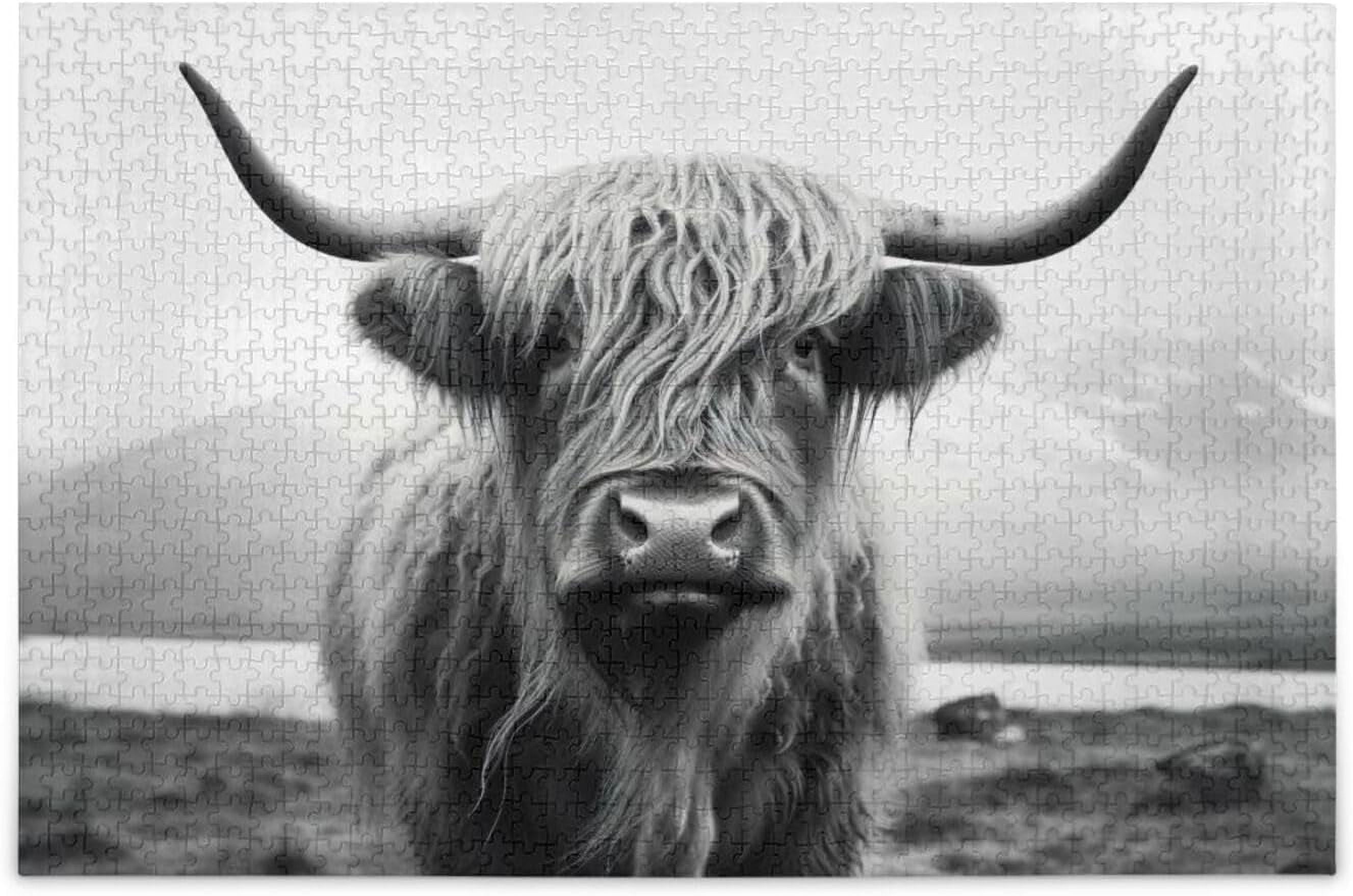 FREEAMG Funny Scottish Highland Cow 500 Piece Large Jigsaw Puzzle for