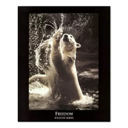 FREEDOM Motivational Bear Wall Picture Art Print