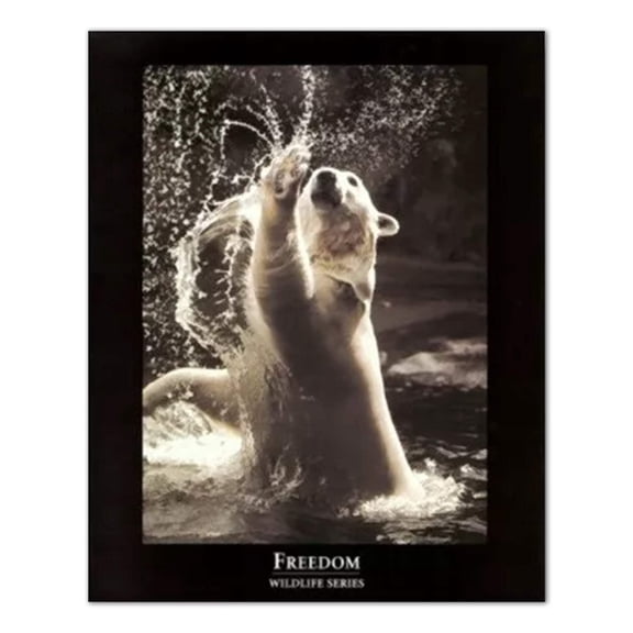 FREEDOM Motivational Bear Wall Picture Art Print