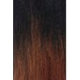 thumbnail image 1 of FREETRESS - EQUAL LFW - 002 LITE LACE WIG, 1 of 3