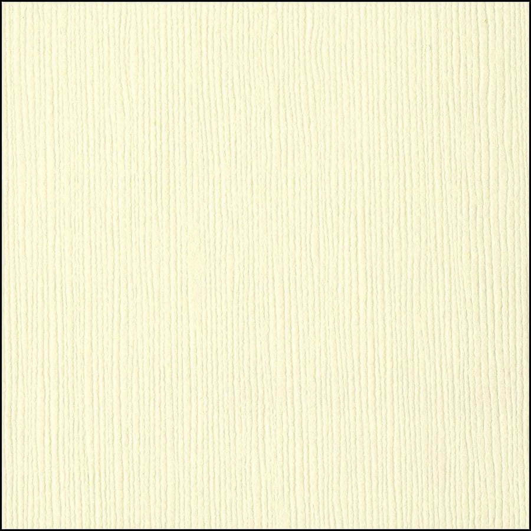 Bazzill Cardstock - Pebble Beach 12x12 (smooth speckled)