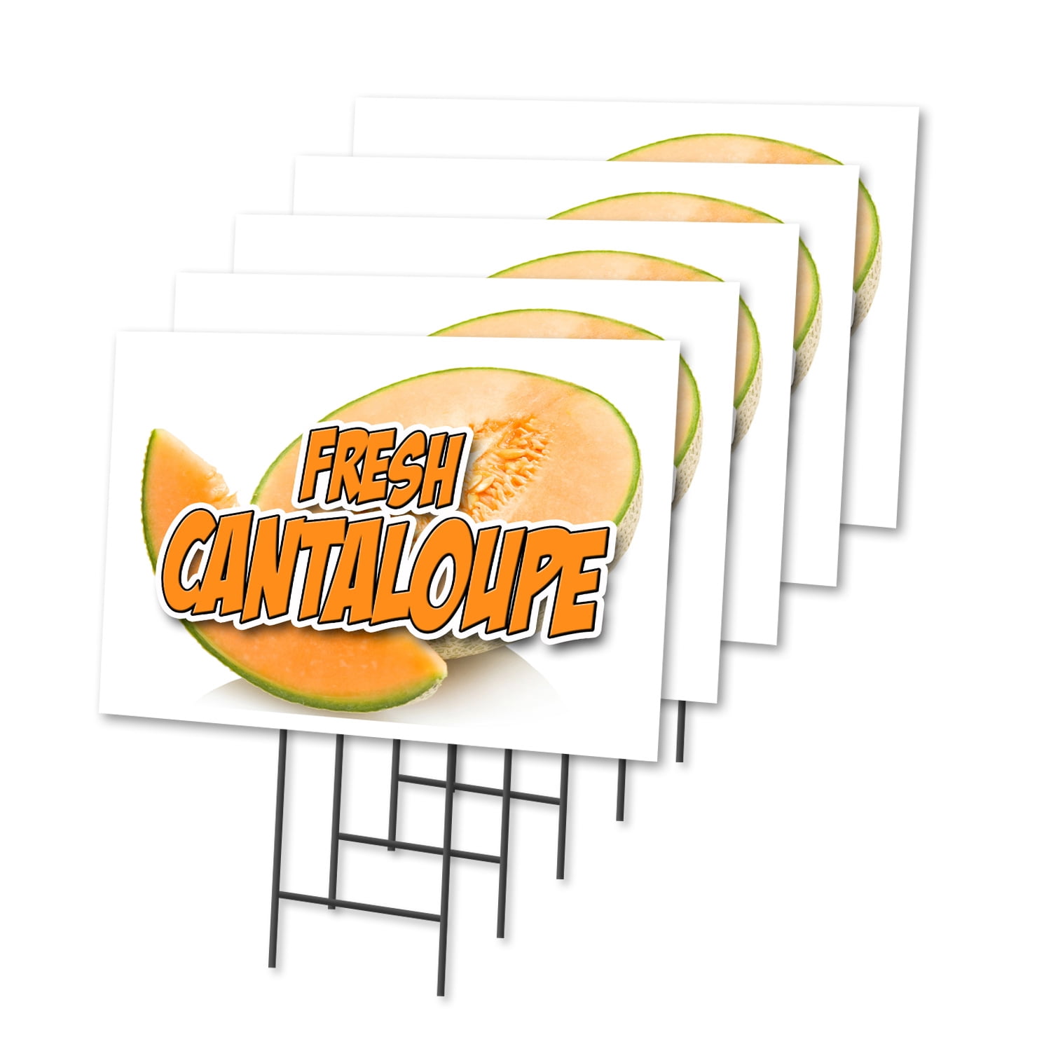 FRESH CANTALOUPE 5 Pack Of 12