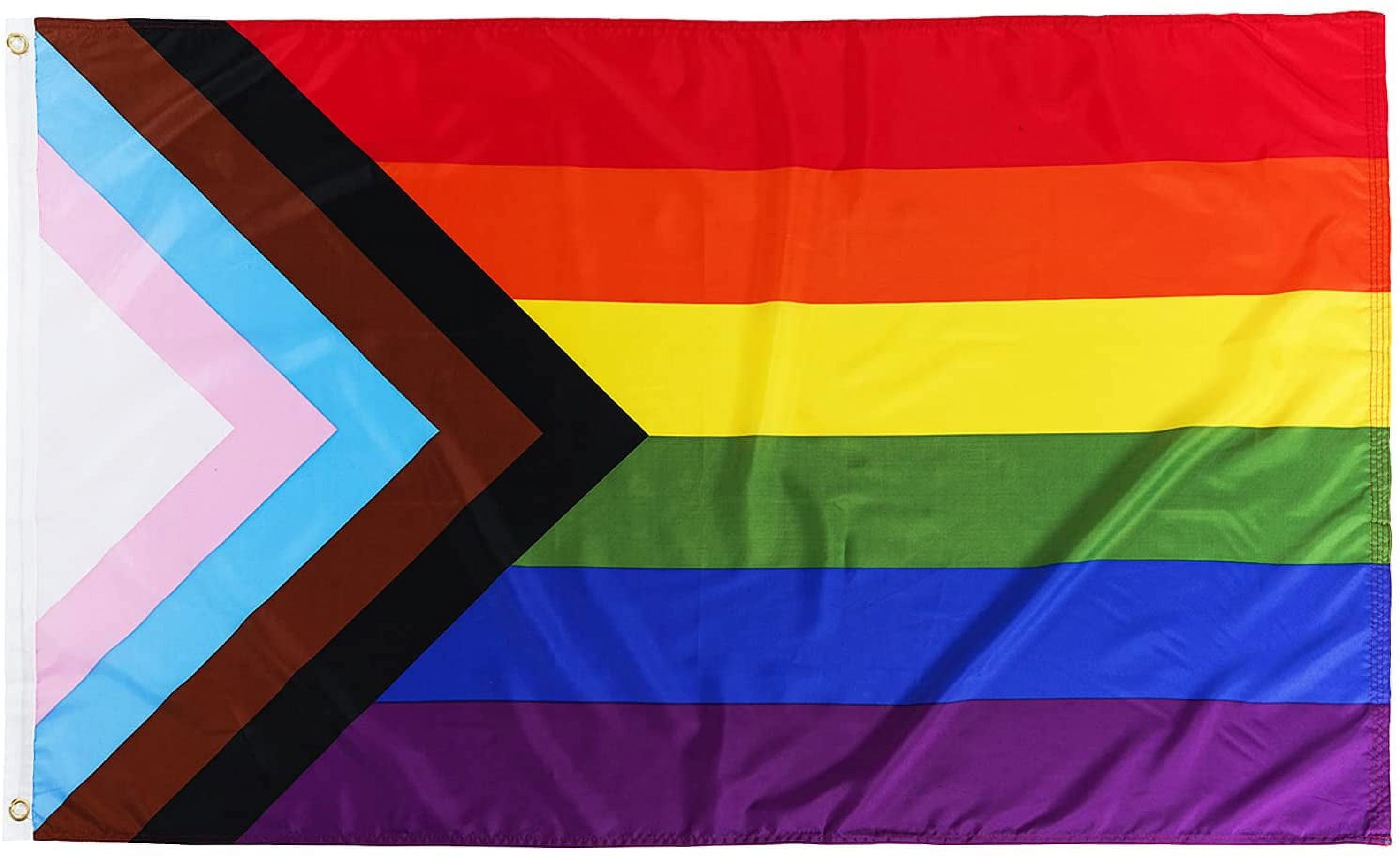 Progress Pride LGBTQ Flagge – 90 X 150 Cm, Aus Nylon, UV-beständig | Mit Genähten Streifen & Messingösen | Für Innen & Außen