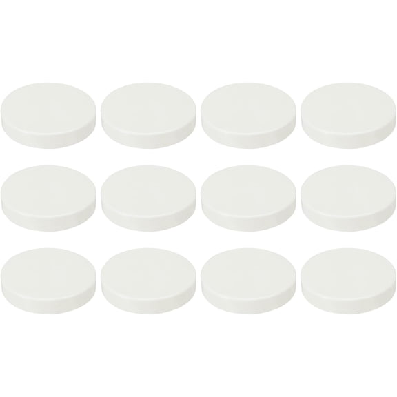 FRKSMD-75mm ID PVC Pipe End Cap Fitting, 12 Pcs Furniture Grade Plug Coupling Socket Adapter for DIY, Garden, White