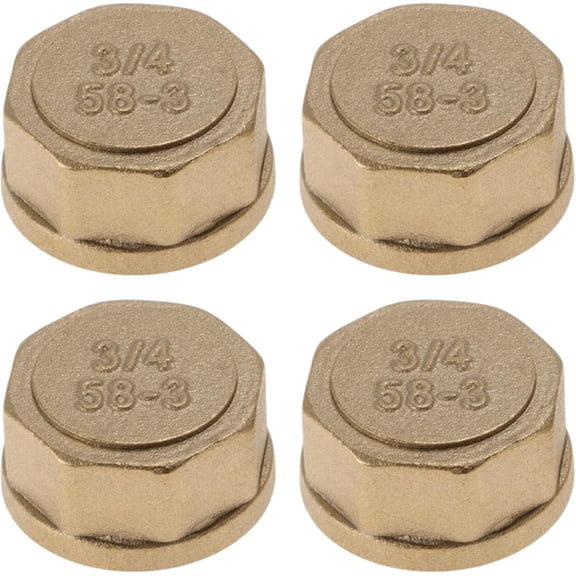 FRKSMD-Brass Pipe Fittings 3/4" Female Internal Thread Plug (Octagonal Thickened) 0.57" 4 Pcs