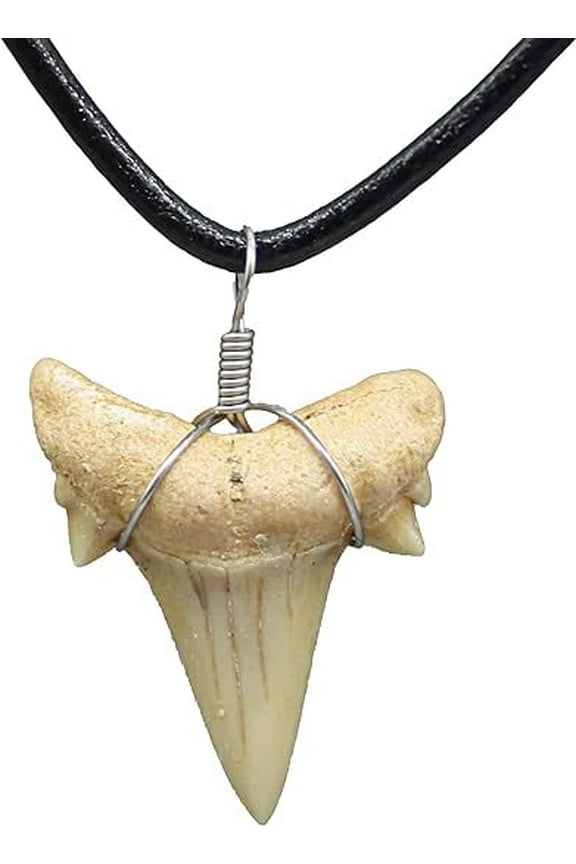 Natural Shark Tooth Necklace, Genuine Fossil Shark Teeth Jewelry for Men, Cool Beach Necklaces, Beachy Surfer Necklace for Women