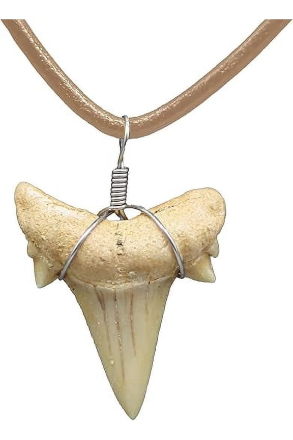 Natural Shark Tooth Necklace, Genuine Fossil Shark Teeth Jewelry for Men, Cool Beach Necklaces, Beachy Surfer Necklace for Women