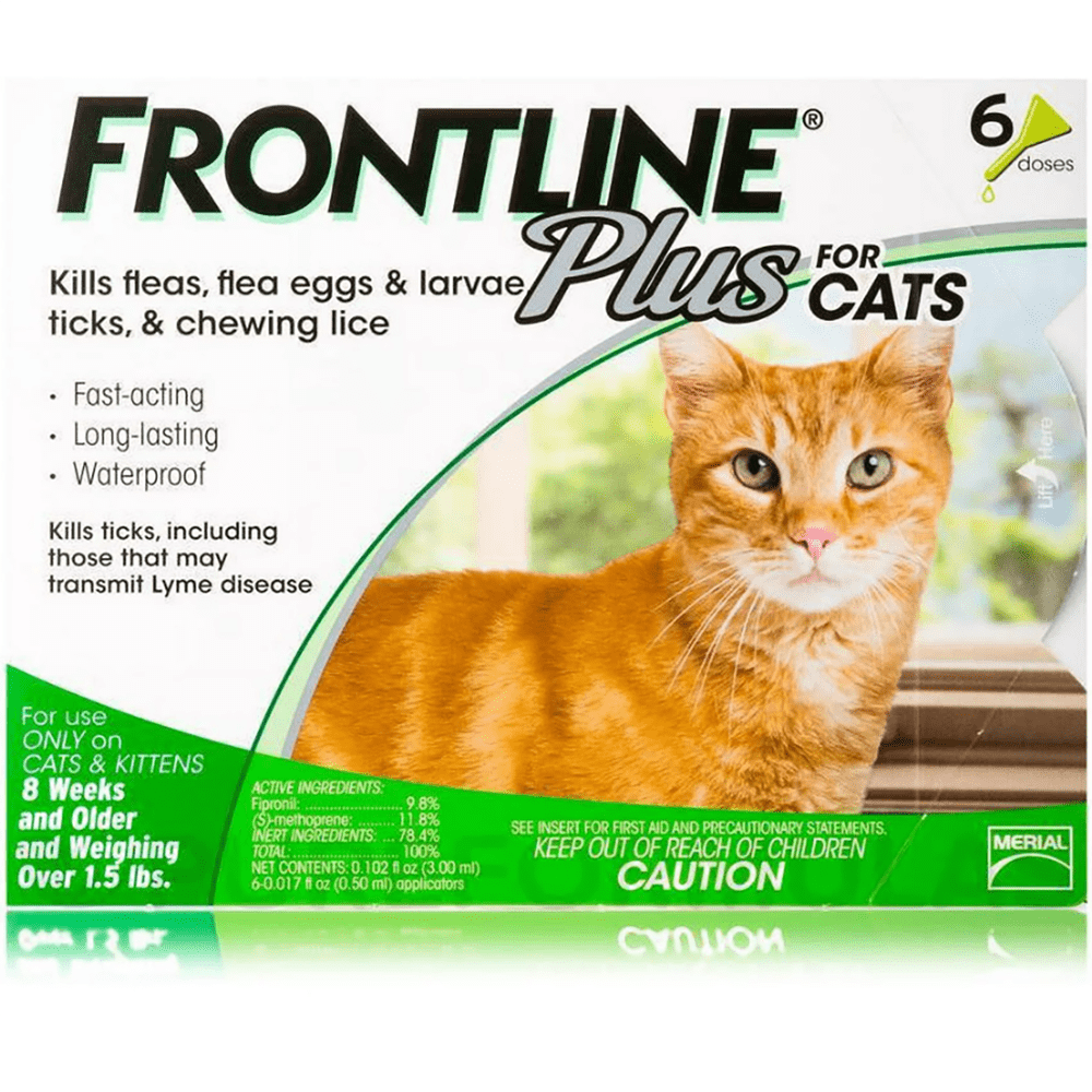 Cheristin for cheap cats walmart