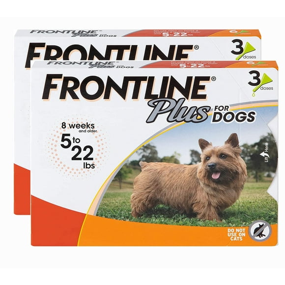 FRONTLINE Plus Flea and Tick Treatment for Dogs (Small Dog, 5-22 Pounds, 6 Doese)