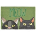 thumbnail image 1 of FRONTPORCH 1821/06 MEOW GREEN - 20"X30" Area Rug by Trans-Ocean, 1 of 3