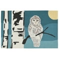 thumbnail image 1 of FRONTPORCH 1862/47 SNOWY OWL NIGHT - 30"X48" Area Rug by Trans-Ocean, 1 of 2