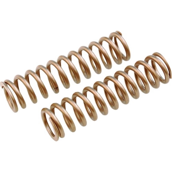 FRPS 261022 - Fork Pressure Springs for Dual Chamber Forks, 2.2 KG/MM