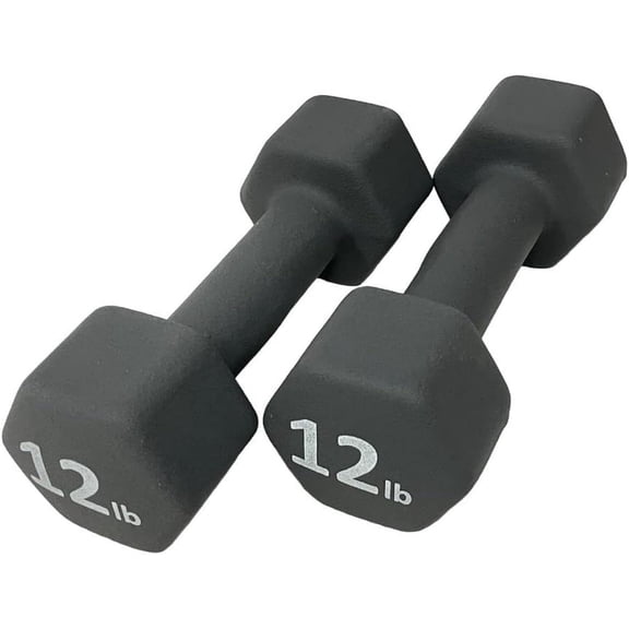 FRS Barbell Neoprene Coated Hex Dumbbell Weights (Grey 12LB, Set of 2)