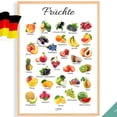 thumbnail image 1 of FRUITS POSTER GERMAN Edition ¢ Montessori Poster ¢ Montessori Educational Homeschooling Learning Poster Nursery Room preschool, Unframed Paper Poster 8x10in, 1 of 4
