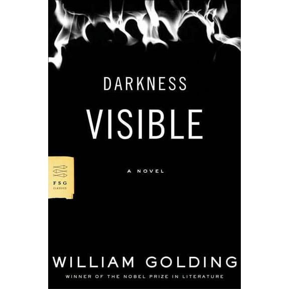 FSG Classics: Darkness Visible : A Novel (Paperback)