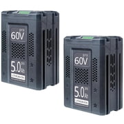 FSKE 5000mAh Replacement for Greenworks 60V Battery Cordless Tools LB60A02 LB60A03 LB60A00 LB60A01 2 Packs