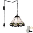 thumbnail image 1 of FSLIVING Motion Sensor Dimmable Iron & Glass Pendant Light with 15FT Plug-In Cord, Clear Glass, 1 of 8