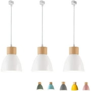 FSLiving 3-Lights H-Type Track Lights Dimmable Track Mount Pendant Lighting Fixtures w/ Macaron Aluminum Shade Customizable - Bulb Not Included (White)