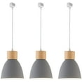thumbnail image 1 of FSLiving 3-Lights J-Type Track Lights Dimmable Track Mount Pendant Lighting Fixtures w/ Macaron Aluminum Shade Customizable - Bulb Not Included (Grey), 1 of 7