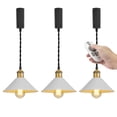 thumbnail image 1 of FSLiving Adjustable Height Remote Control J-Type Track Pendangt Light with E26 Matte Brass Finish Base Retro Industrial Factory White Lamp Dimmable Color Changing for Kitchen,Customizable - 3 Lights, 1 of 9