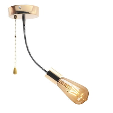 FSLiving Adjustable Wall Light with Zipper Switch 12V Gold Decorative Light Ceiling Light Wall Cabinet Light Ceiling Mount, 2700K Bulb Included Industrial Semi Flush Mount for RV Camper - 1 Light