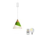 thumbnail image 1 of FSLiving Dimmable Hanging Light with Rechargeable Battery Operated LED RGB Bulb Semi-Hollow Green Shade Modern Style Pendant Light Color Changing Timing Lamp for Bar Party Courtyard Camping - 1 Lamp, 1 of 6