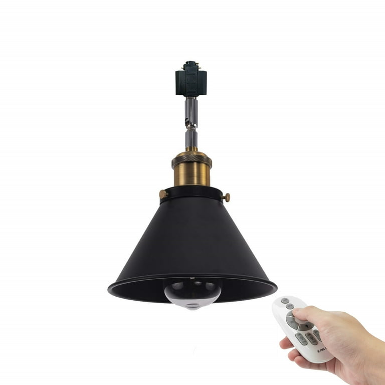 Remote control track lighting 2025