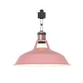 thumbnail image 1 of FSLiving H-Type Track Lighting E26 Base Industrial Adjustable Angle Lamp Pink Metal Shade with Red Bronze Socket Track Light Fixture for Slope Ceiling Gimbal,Bulb and Track Not Included - 1 Light, 1 of 6
