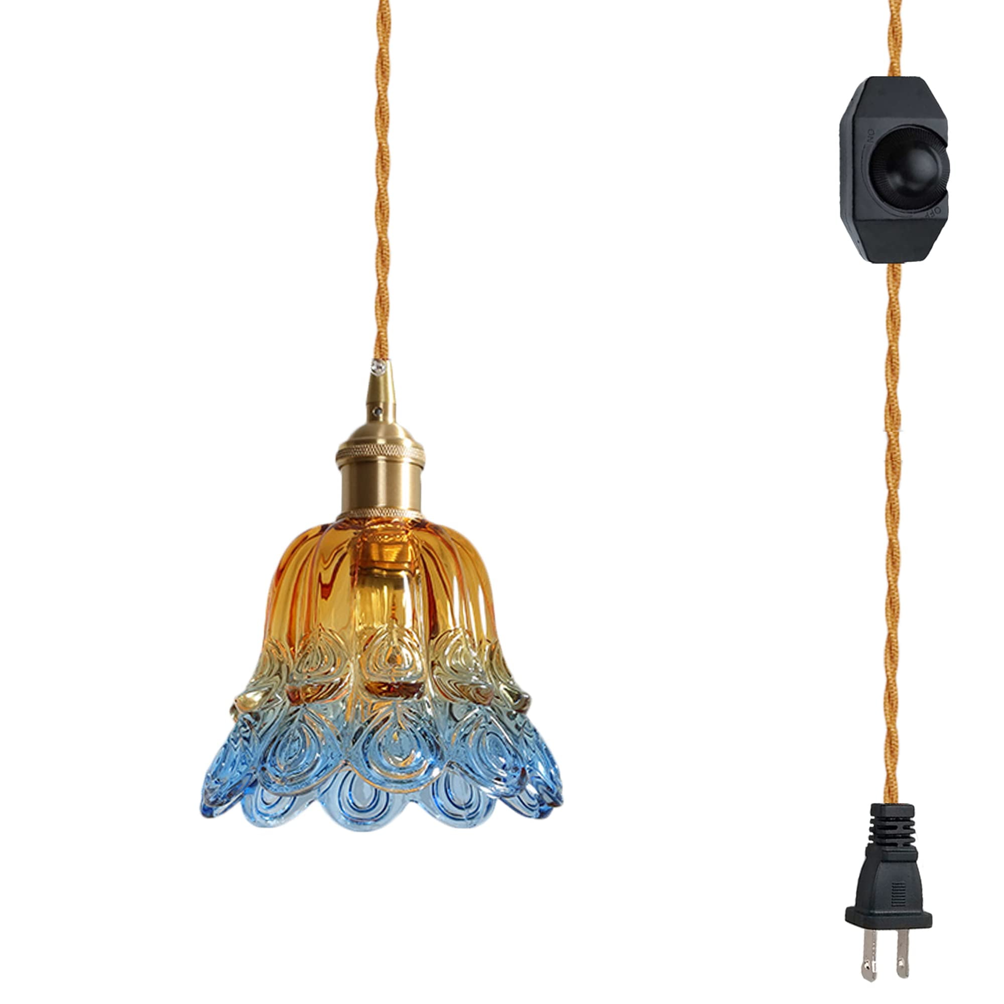 FSLiving Hanging Swag Lamp Pendant Light with 15ft Plugin UL Dimmable