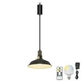 thumbnail image 1 of FSLiving Industrial Black Metal Pendant Light with Rechargeable Battery Operated LED Bulb Adjustable Wire Length Hanging Light RGB Mode Dimmable Timing Lighting Fixtures for Kitchen Factory - 1 Light, 1 of 5