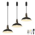thumbnail image 1 of FSLiving Industrial Black Metal Pendant Light with Rechargeable Battery Operated LED Bulb Adjustable Wire Length Hanging Light RGB Mode Dimmable Timing Lighting Fixtures for Kitchen Factory - Set of 3, 1 of 5