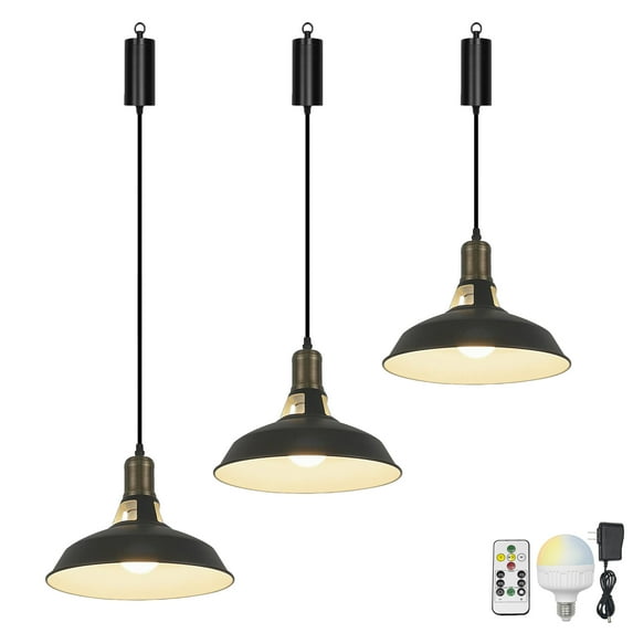 FSLiving Industrial Black Metal Pendant Light with Rechargeable Battery Operated LED Bulb Adjustable Wire Length Hanging Light RGB Mode Dimmable Timing Lighting Fixtures for Kitchen Factory - Set of 3
