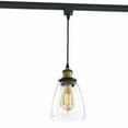 thumbnail image 1 of FSLiving J-Type Track Light Pendants Restaurant Chandelier Glass Lampshade Pendant Light Industrial Dimmable Track Mount Pendant Lighting Fixtures Instant On Pendant Lamp Bulb Not Included - 1 Light, 1 of 10