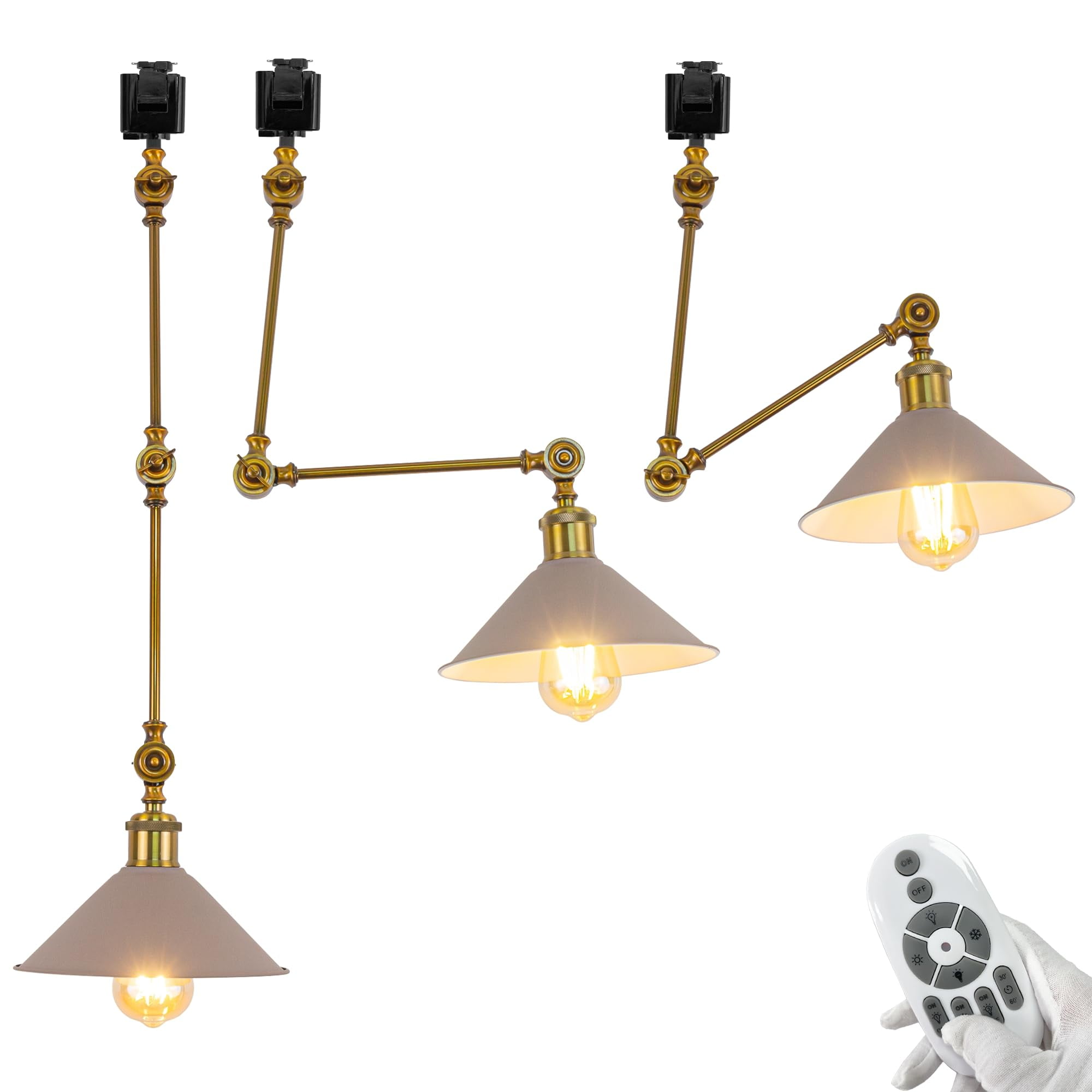 FSLiving J Type Track Lighting, Adjustable Ceiling Lighting Remote