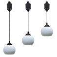 FSLiving Mini Adjustable Cord Length Juno Track Lighting Pendants, 4 Ft