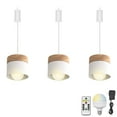 thumbnail image 1 of FSLiving Rechargeable Battery Operated Pendant Light with Sleeve&Round Hook RGB Mode Adjustable Wire Length Hanging Light Columnar Metal White Shade Dimmable Lamp for Courtyard Nightstand - 3 Lights, 1 of 7