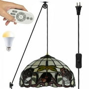 FSLiving Remote Control Dimmable Hanging Swag Pendant Light with Tiffany Glass Shade Colorful Chandelier with 15ft Plug-in UL On/Off Button Switch for Sloped Ceiling/Flat Ceiling Home Decor - 1 Pack
